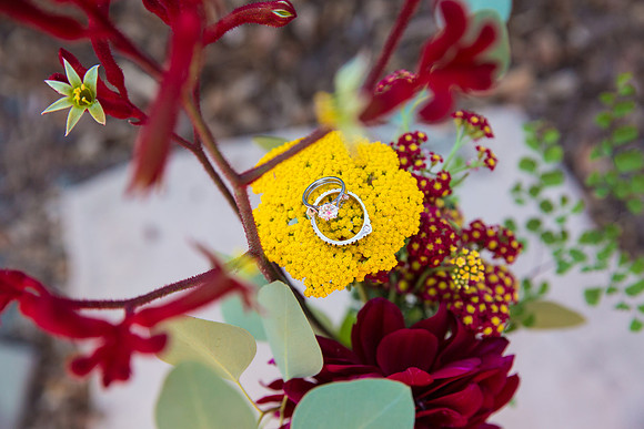 ElleAimePhotographybyLeahMarie-ShadamWedding-104