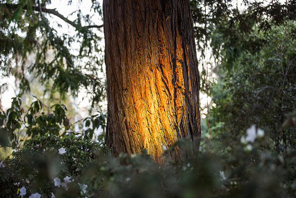 Leah Marie Studio - Autumn Lights Festival-15