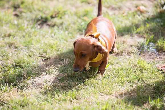 Elle Aime Photography by Leah Marie - Bear and Kati Wedding (91 of 256)