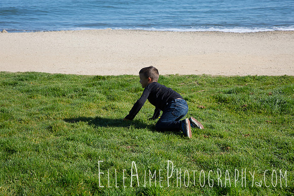 Elle Aime Photography by Leah Marie - Family Portraits (64 of 200)
