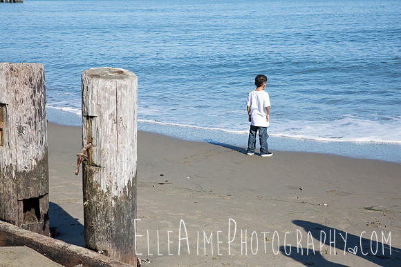 Elle Aime Photography by Leah Marie - Family Portraits (175 of 200)