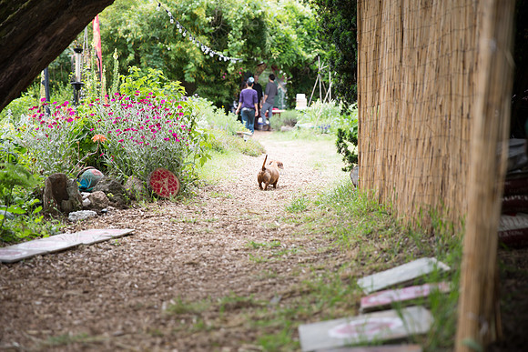 Elle Aime Photography by Leah Marie - Bear and Kati Wedding (2 of 112)