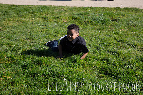 Elle Aime Photography by Leah Marie - Family Portraits (63 of 200)