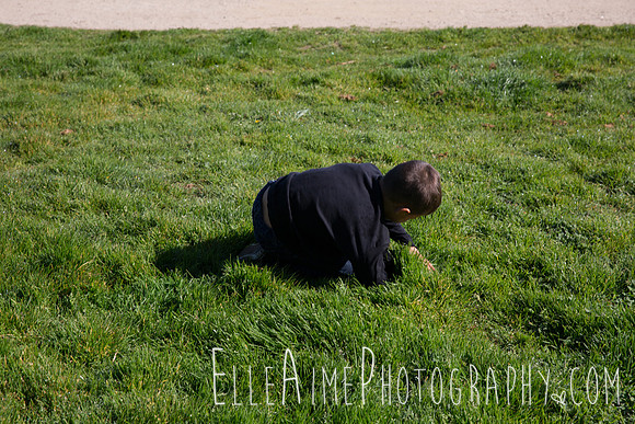 Elle Aime Photography by Leah Marie - Family Portraits (61 of 200)