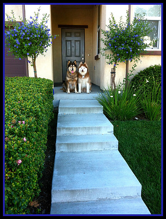 stairs photo