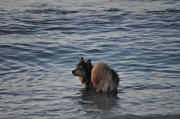DSC_0045