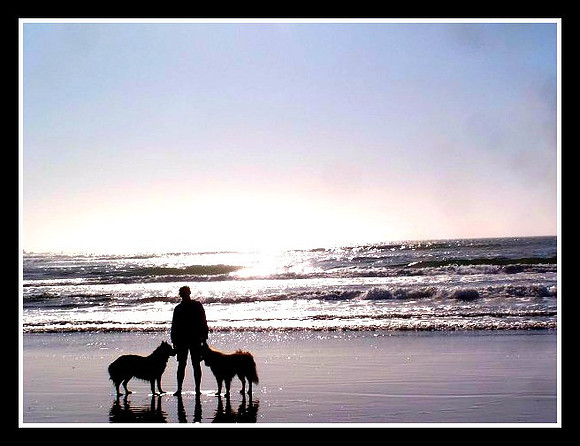 ocean photo