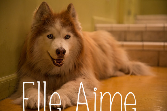Elle Aime Photography by Leah Marie - VDV-1