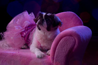 Elle_Aime_Photography_by_Leah_Marie-Janet-7