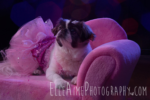 Elle_Aime_Photography_by_Leah_Marie-Janet-7