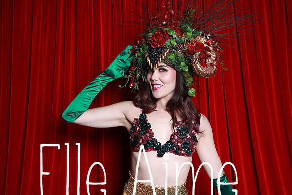 Elle Aime Photography by Leah Marie - Masquerotica Photo Booth-6