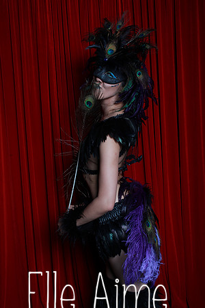 Elle Aime Photography by Leah Marie - Masquerotica Photo Booth-373