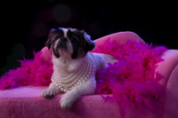 Elle_Aime_Photography_by_Leah_Marie-Janet-2