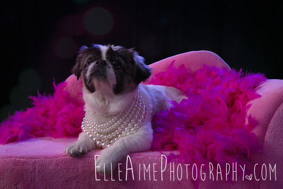 Elle_Aime_Photography_by_Leah_Marie-Janet-2