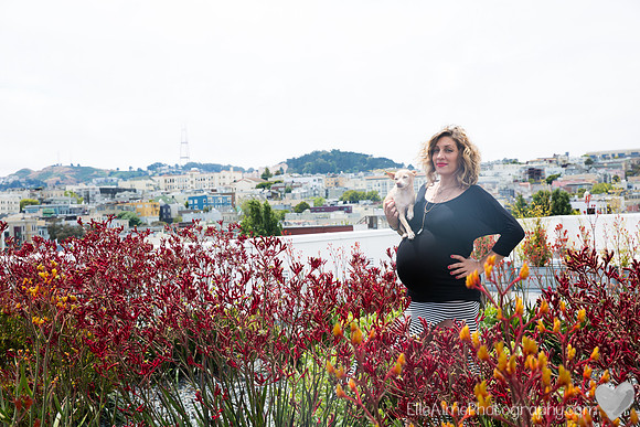 Elle Aime Photography by Leah Marie - Alex Maternity-3