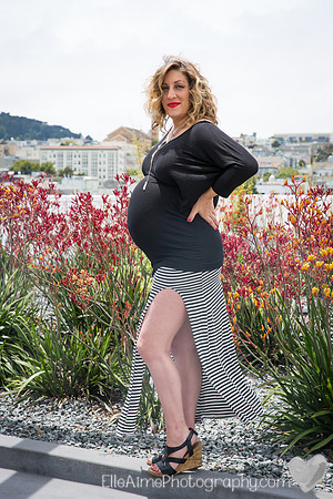 Elle Aime Photography by Leah Marie - Alex Maternity-1