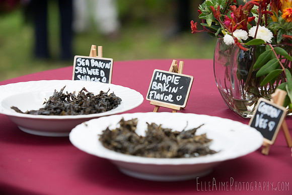 Elle Aime Photography by Leah Marie - Bear and Kati Wedding-39