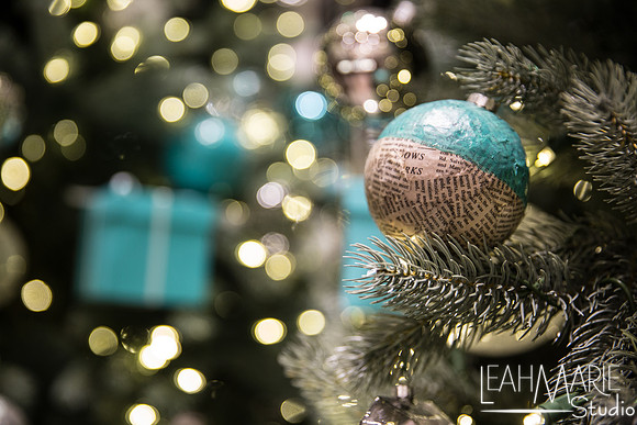 Leah-Marie-Studio-Tiffany's (52 of 212)