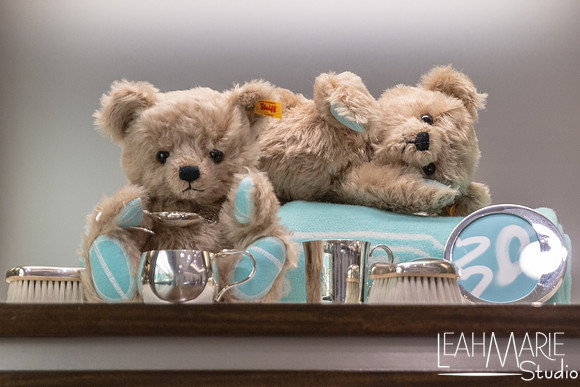 Leah-Marie-Studio-Tiffany's (143 of 212)