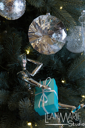 Leah-Marie-Studio-Tiffany's (199 of 212)