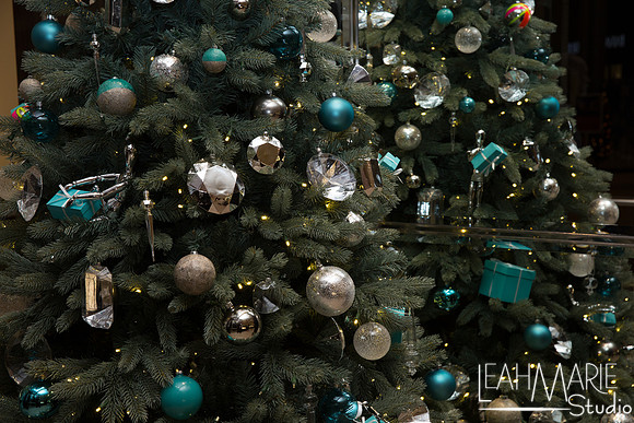 Leah-Marie-Studio-Tiffany's (187 of 212)
