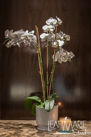 Leah-Marie-Studio-Tiffany's (19 of 212)