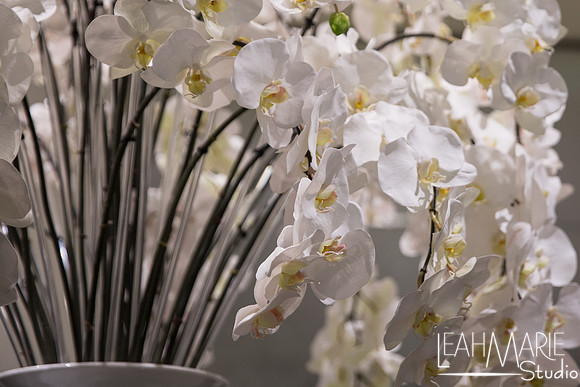 Leah-Marie-Studio-Tiffany's (16 of 212)