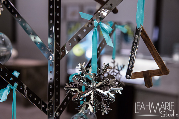 Leah-Marie-Studio-Tiffany's (38 of 212)