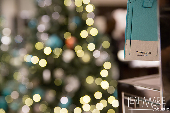 Leah-Marie-Studio-Tiffany's (13 of 212)