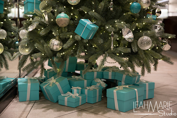 Leah-Marie-Studio-Tiffany's (51 of 212)