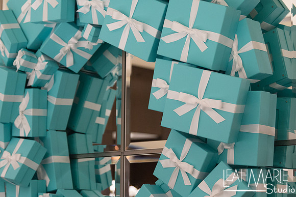 Leah-Marie-Studio-Tiffany's (7 of 212)