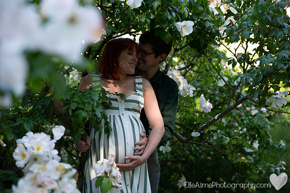 Elle Aime Photography - Scarlett Maturnity-14