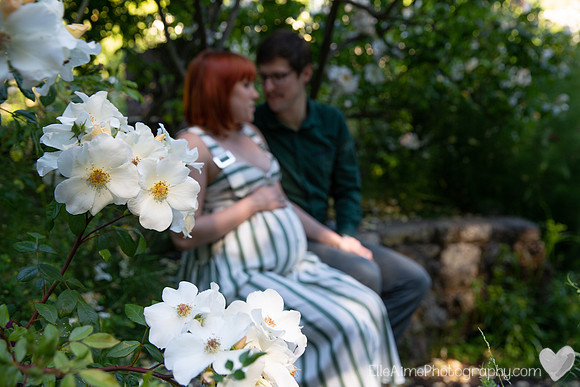 Elle Aime Photography - Scarlett Maturnity-26