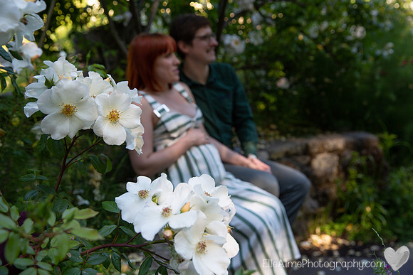 Elle Aime Photography - Scarlett Maturnity-27