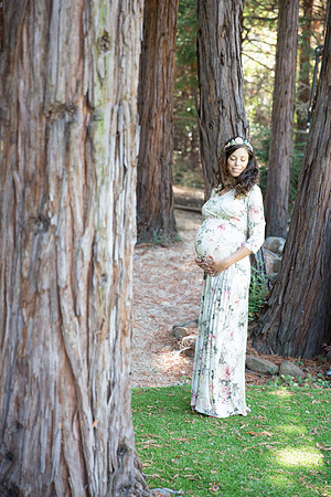 Elle Aime Photography by Leah Marie - RJ Maternity (177 of 370)