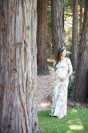 Elle Aime Photography by Leah Marie - RJ Maternity (185 of 370)