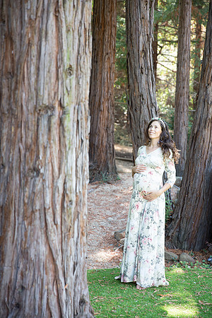 Elle Aime Photography by Leah Marie - RJ Maternity (183 of 370)