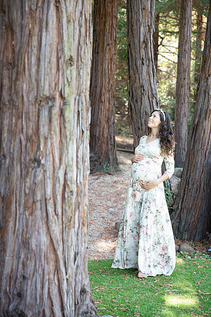 Elle Aime Photography by Leah Marie - RJ Maternity (182 of 370)