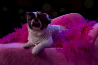 Elle_Aime_Photography_by_Leah_Marie-Janet-1