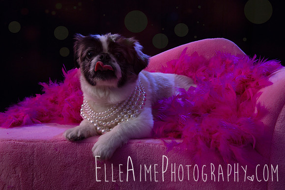 Elle_Aime_Photography_by_Leah_Marie-Janet-1