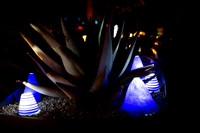 Leah Marie Studio Autumn Lights-19