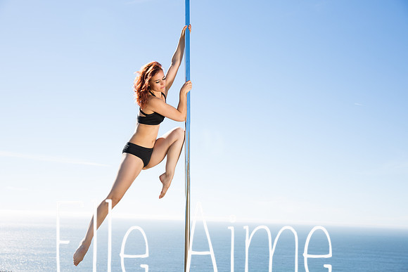 Elle Aime Photography by Leah Marie - Pole (2 of 5)