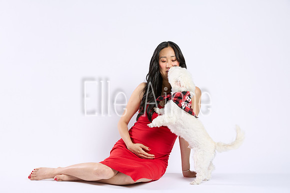Elle Aime Photography - Maternity 11