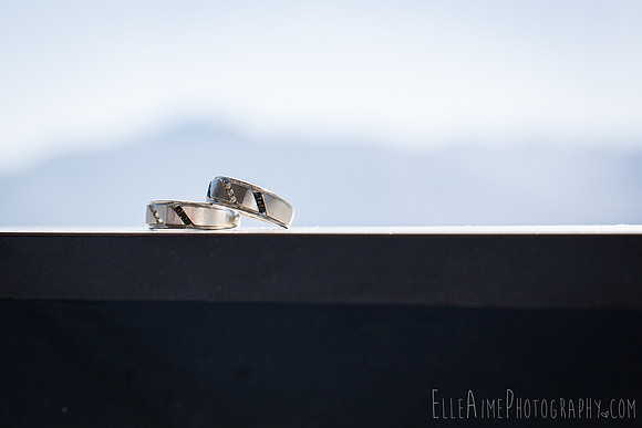 Elle Aime Photography by Leah Marie - Aj and Adam Wedding Photos (98 of 264)