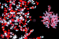 Leah Marie Studio Autumn Lights-6