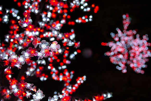 Leah Marie Studio Autumn Lights-6