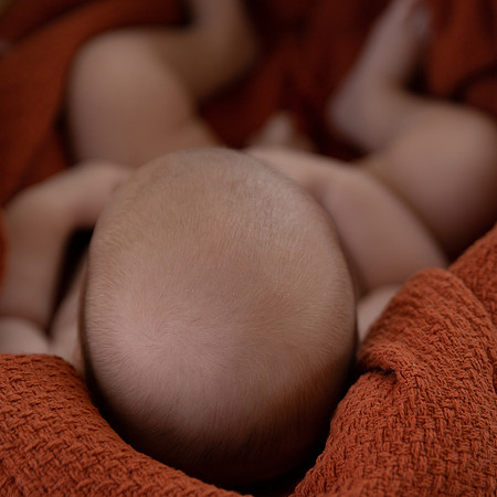 Elle-Aime-Photography-Leah-Marie-Baby Kuma-56