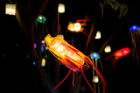 Leah Marie Studio Autumn Lights-18